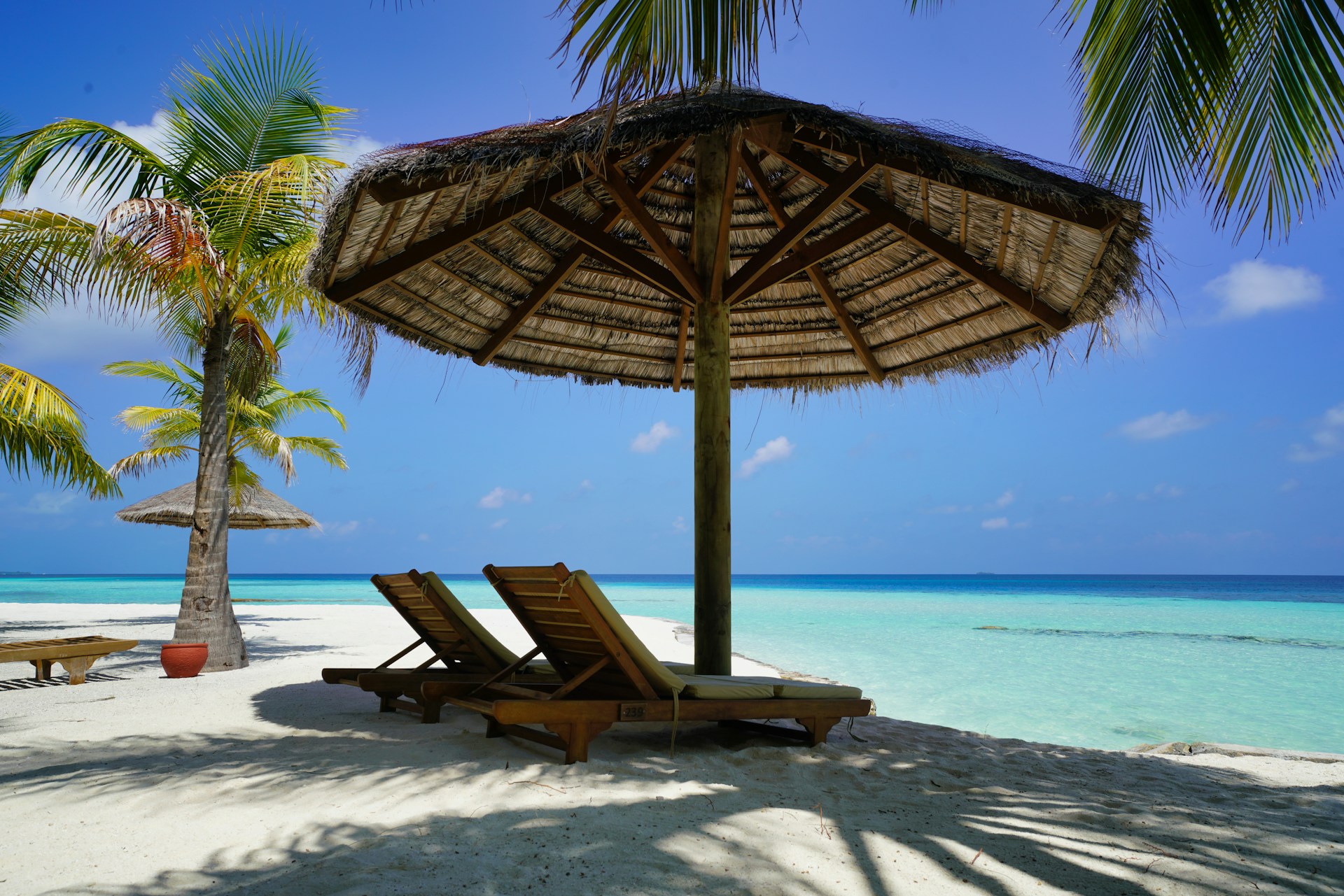 Travel service representing Live and work visa guidance